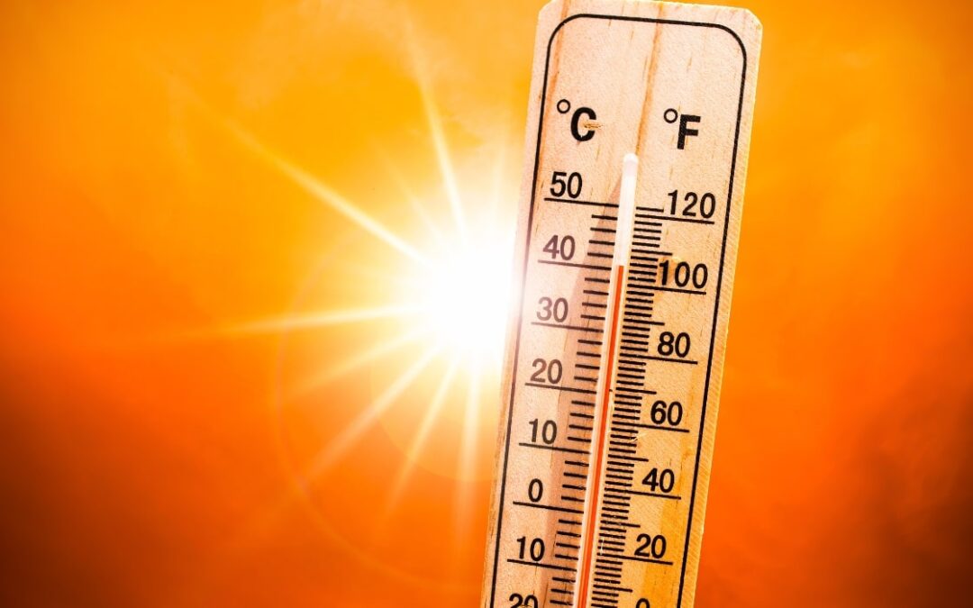 Heat-Related Illnesses in the Workplace: Employer Responsibilities and Insurance Coverage