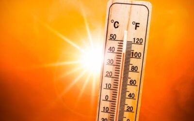 Heat-Related Illnesses in the Workplace: Employer Responsibilities and Insurance Coverage